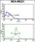 ALDH2 Antibody